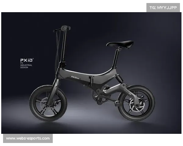 华南两轮赛增设E-MTB项目,电动助力车或成行业新趋势 华南两轮赛增设E-MTB项目,电动助力车或成行业新趋势